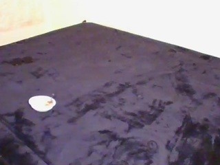 AngelRomance nude on cam – live sex chat