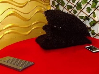 ARTHURBOY-GOLD nude on cam – live sex chat