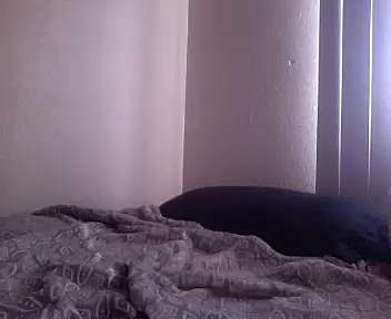 Beccabunny69 nude pussy Live Sex Chat & Recorded Videos