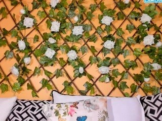 RebbecaJones nude on cam – live sex chat