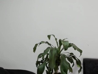 SweetCandice , ?? nude on cam – live sex chat