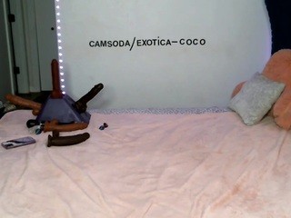 COCO EXOTIC , ? nude on cam – live sex chat