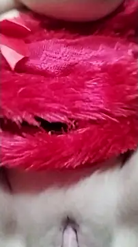Sexy-Noura nude pussy Live Sex Chat & Recorded Videos