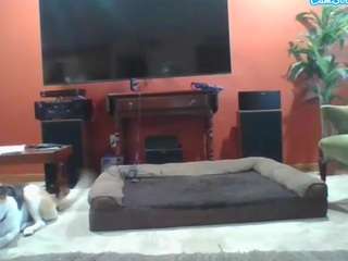 Alyjeanne0420 nude is waiting to chat with you live for FREE