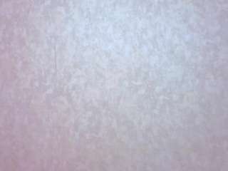 Alahia-lee nude is waiting to chat with you live for FREE