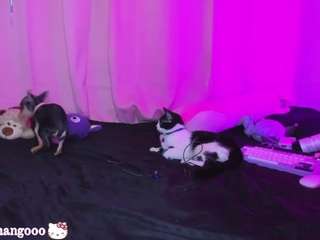 Mangoshake nude is waiting to chat with you live for FREE