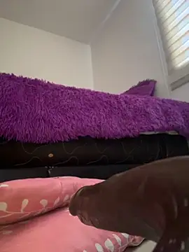 _MiaX nude pussy Live Sex Chat & Recorded Videos